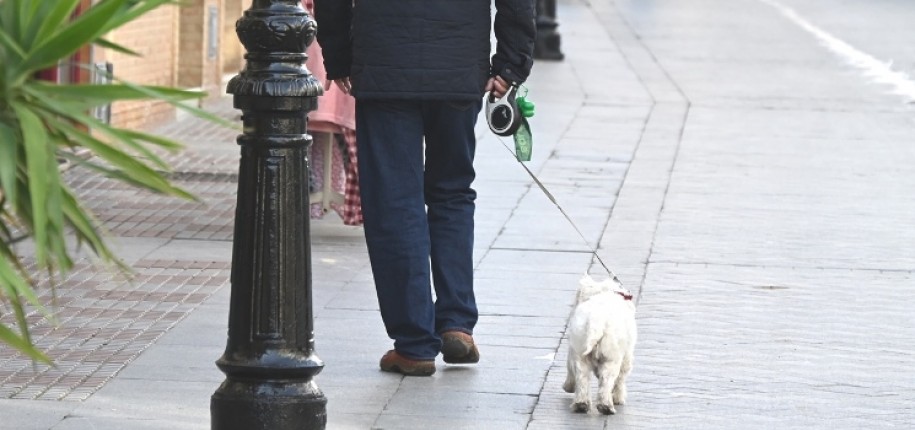 El Ayuntamiento pone en marcha una campaña de control de perros  potencialmente peligrosos para recordar las